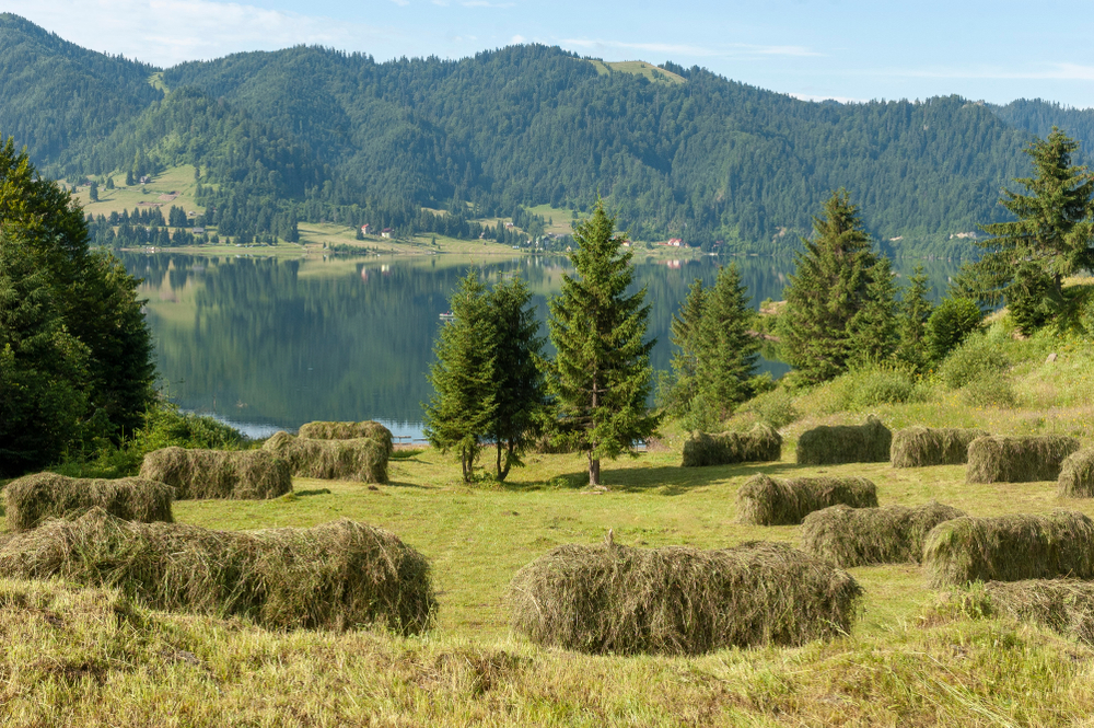 Lacul Colibița