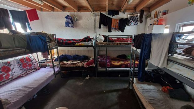 Peste 50 de români, găsiți „într-o situație degradantă” și bătuți de șeful de echipă, la o fermă din Olanda