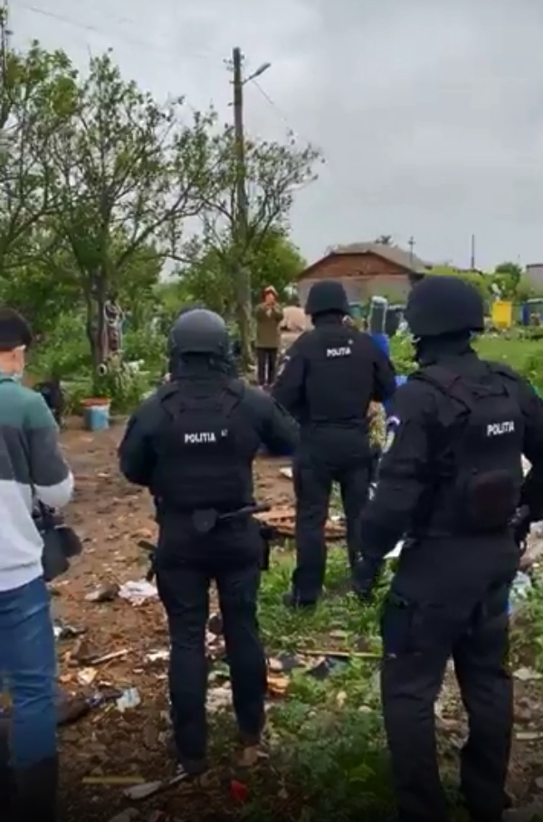 Trupele speciale au pătruns ca să prindă sute de câini şi pisici în Amzacea, dar autoritățile nu lămuresc unde le-au dus