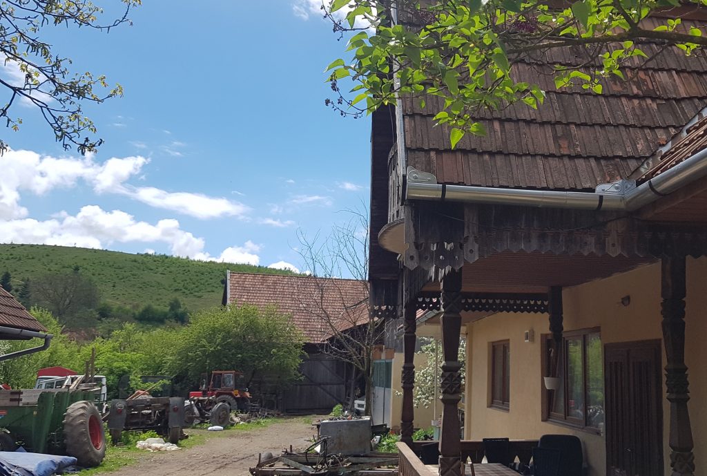 La o lună de la izbucnirea scandalului legat de ursul Arthur, Ministerul Mediului nu a luat nicio măsură. Câți urși au fost vânați de străini