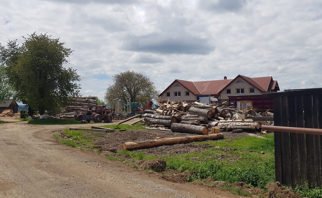 La o lună de la izbucnirea scandalului legat de ursul Arthur, Ministerul Mediului nu a luat nicio măsură. Câți urși au fost vânați de străini