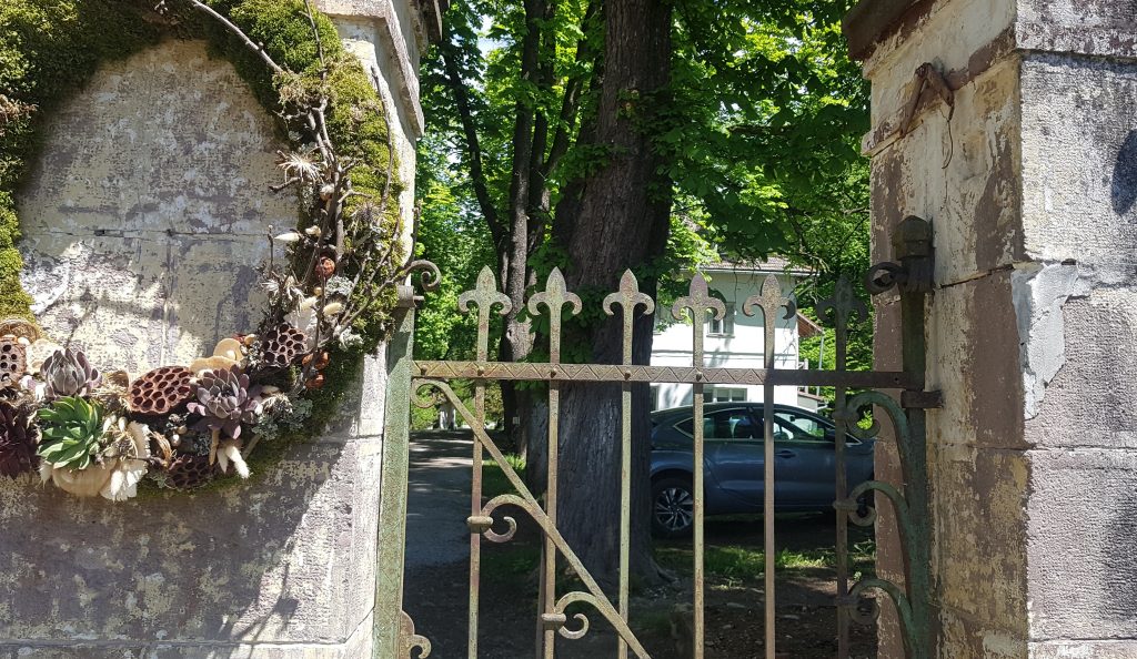 La o lună de la izbucnirea scandalului legat de ursul Arthur, Ministerul Mediului nu a luat nicio măsură. Câți urși au fost vânați de străini