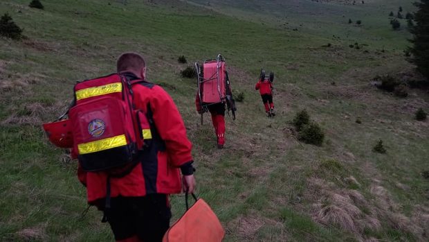 Bărbat în șoc anafilactic în munții Piatra Craiului, după ce a fost înțepat de o albină. Intervin salvamontiștii