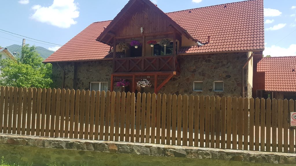Dansând cu urșii. Am descoperit încă cinci cazuri „Arthur” și pe câțiva dintre „băieții deștepți” din vânătoare