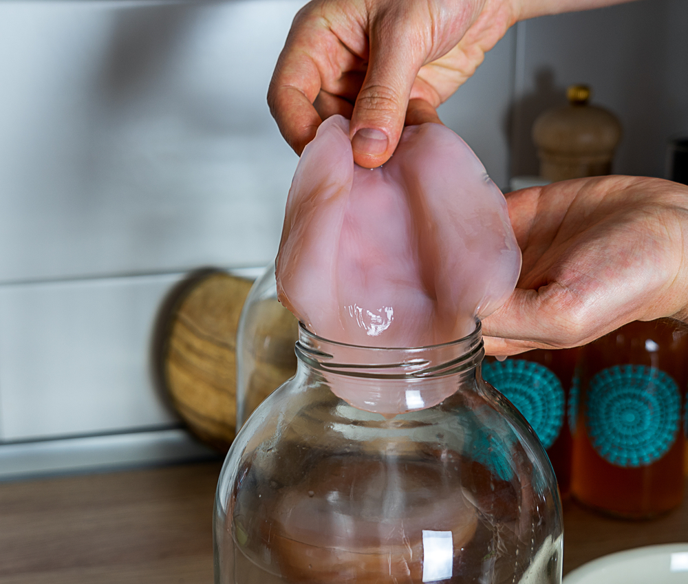 Ciuperca de ceai Kombucha