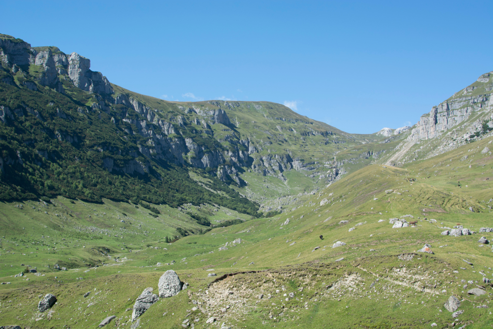 Trasee Montante - Padina Varful Omul