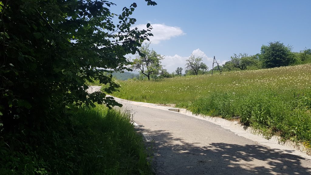 Dansând cu urșii. Am descoperit încă cinci cazuri „Arthur” și pe câțiva dintre „băieții deștepți” din vânătoare