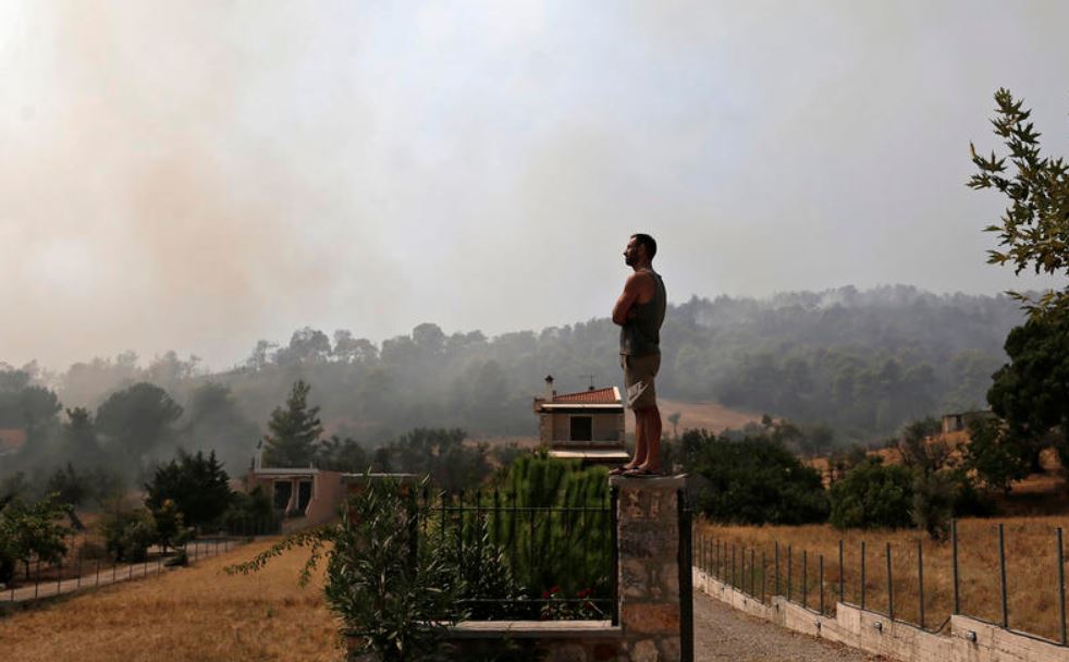 Urmările Mai Puțin Cunoscute Ale Incendiilor De Pe Insula Evia. „O Pierdere Imensă Pentru Următorii 30 De Ani" - Vimarsana News
