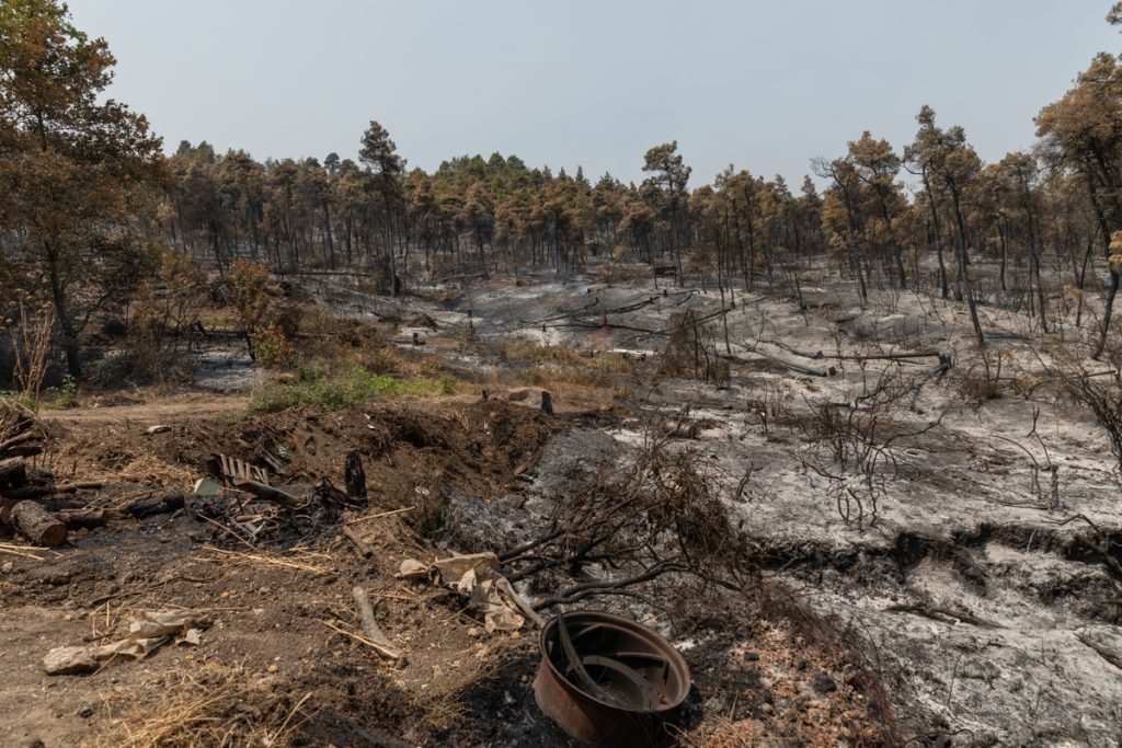 Poveștile pompierilor români în insula Evia: „O bătrână avea casa izolată în pădure, am ajuns la ea înaintea focului”