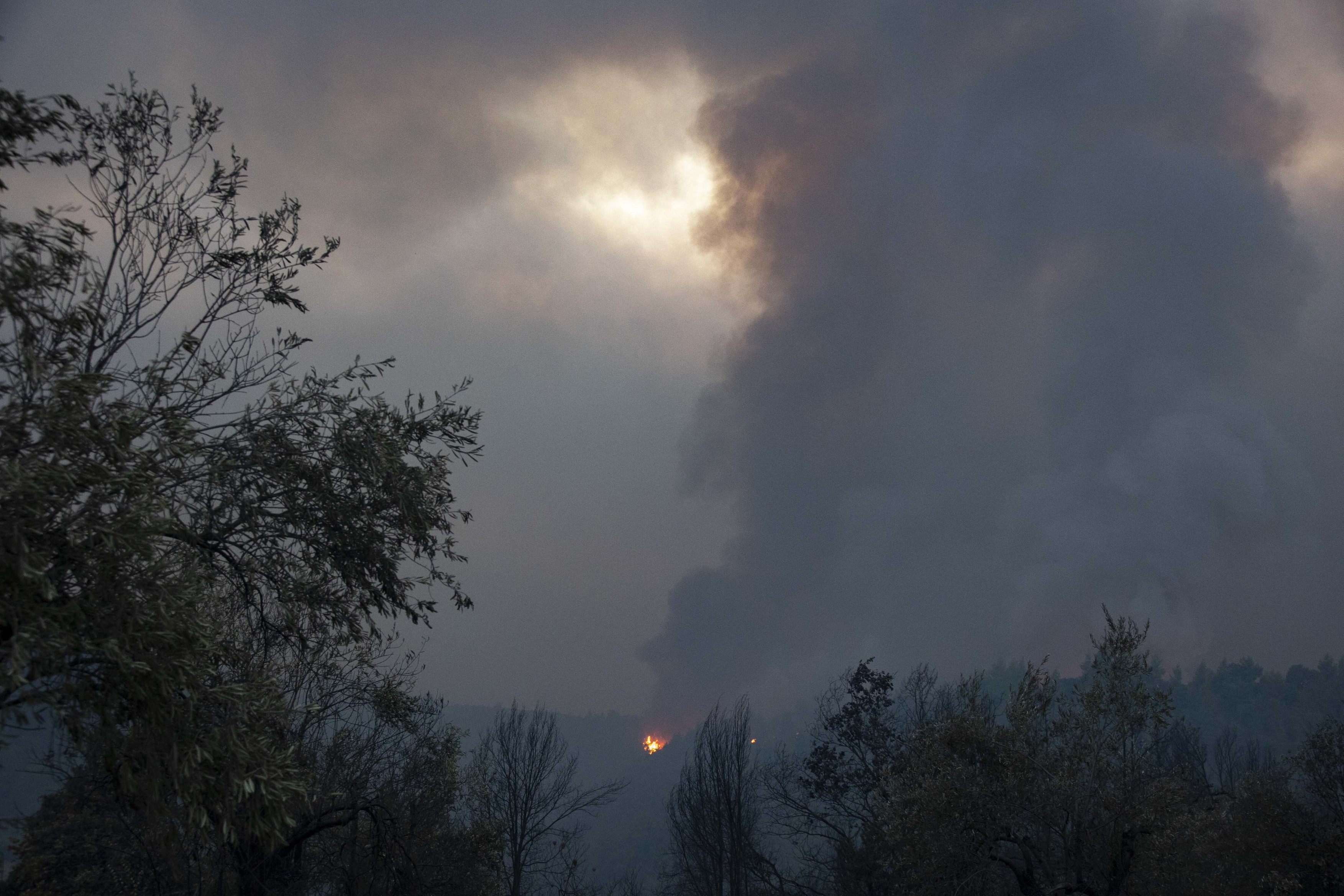 Incendiile Din Insula Grecească Evia, Pe Cale „să Fie Stăpânite", Spune Un Primar. „Am Văzut Lumina Soarelui" - Vimarsana News