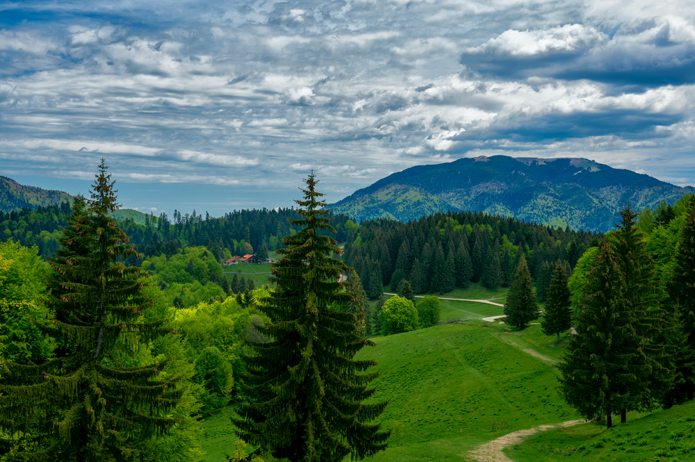 Poiana Brașov Atracții Activității și Obiective Turistice Libertatea