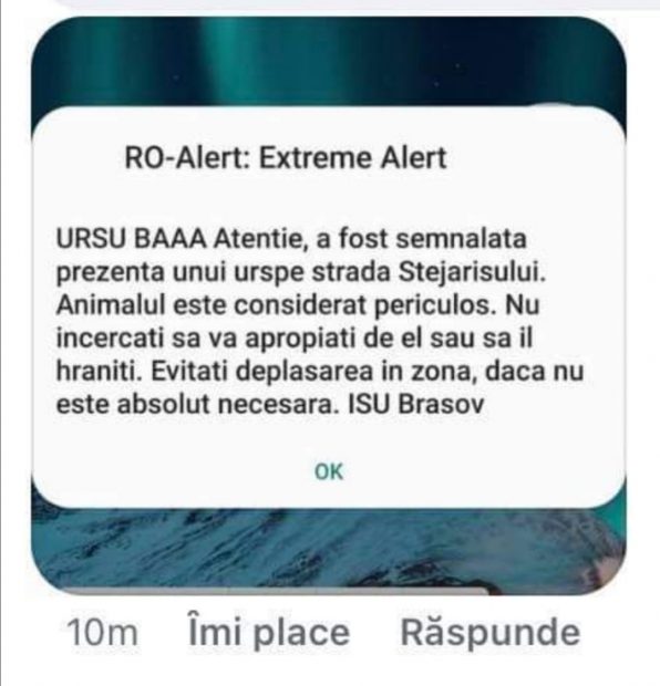 Cercetare disciplinară la ISU Brașov, după ce un mesaj RO-Alert a început cu avertismentul: ”Ursu baaa”