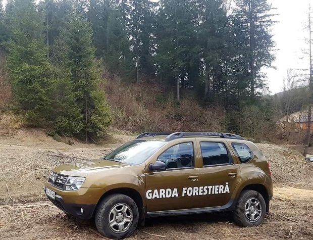 Garda Forestieră Suceava anunță nereguli în pădurea unde au fost bătuți cei doi jurnaliști