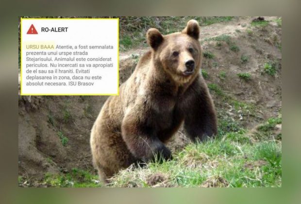 Cercetare disciplinară la ISU Brașov, după ce un mesaj RO-Alert a început cu avertismentul: „Ursu baaa”