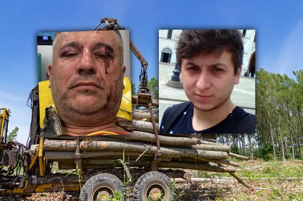 Patru rețineri în cazul jurnaliștilor bătuți în timp ce documentau defrișările ilegale