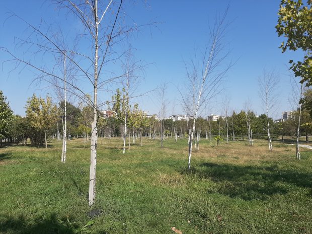 Ce spune Nicușor Dan despre solicitarea ca Parcul Izvor să fie concesionat unei firme a organizatorilor Untold