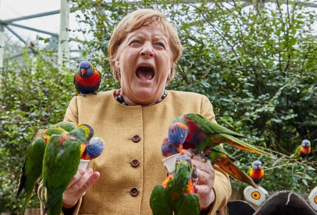Imaginea zilei: Angela Merkel, ciupită de papagali, în timpul unei vizite la parcul de păsări din Marlow