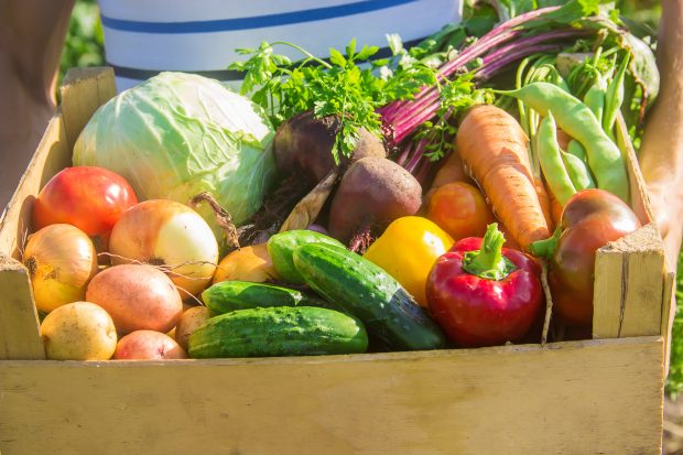 Zece legume minune pentru sănătate. Ar trebui să le mănânci zilnic