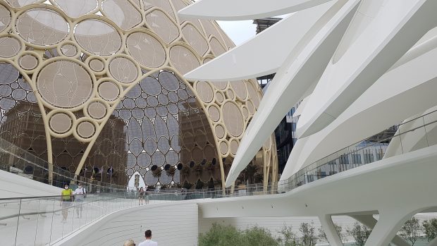 Jurnal din viitor: întâmplare cu un robot la Expoziția Universală din Dubai