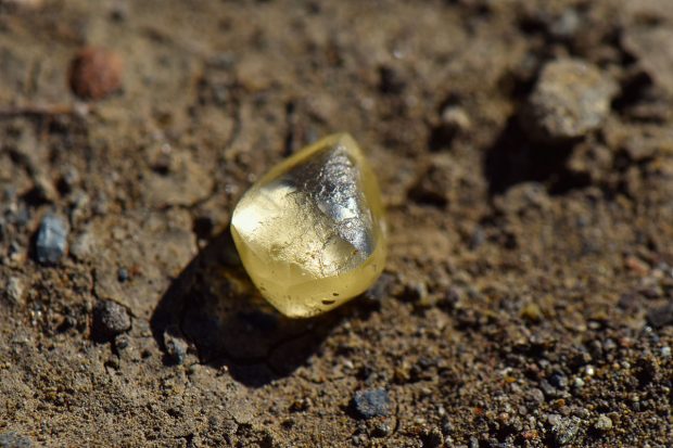 O femeie din SUA a găsit un diamant de 4,38 carate. ”Era curat și strălucitor”