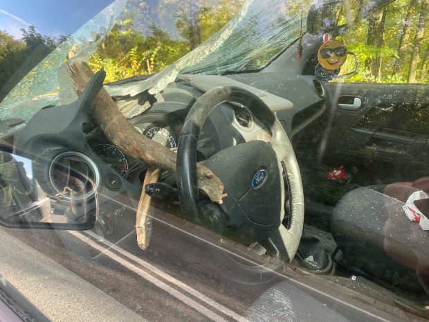 Un copac s-a prăbușit peste un autoturism pe Drumul European 581. O bucată de lemn a străpuns parbrizul, rănind șoferul