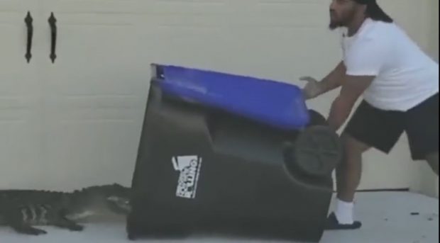 Un bărbat din Florida a reușit să captureze un aligator cu ajutorul tomberonului