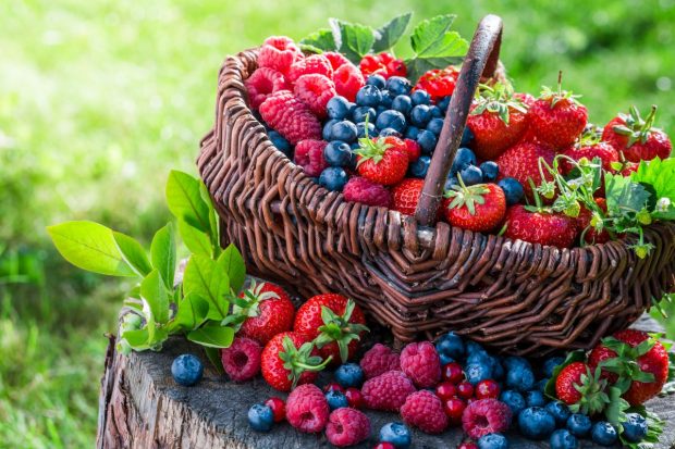 Cum conservi fructele de pădure pentru sezonul rece