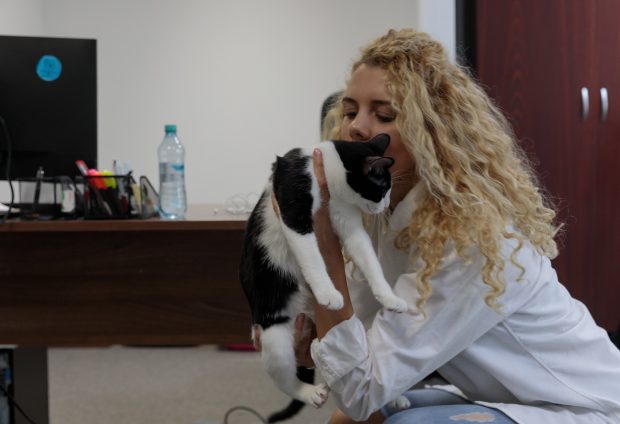 Tânăra care a dus câinii din adăposturi la meciurile de fotbal: „Ne spun oamenii: Strângeți câinii de pe stradă! Îi strângem, dar tu i-ai sterilizat pe-ai tăi?”