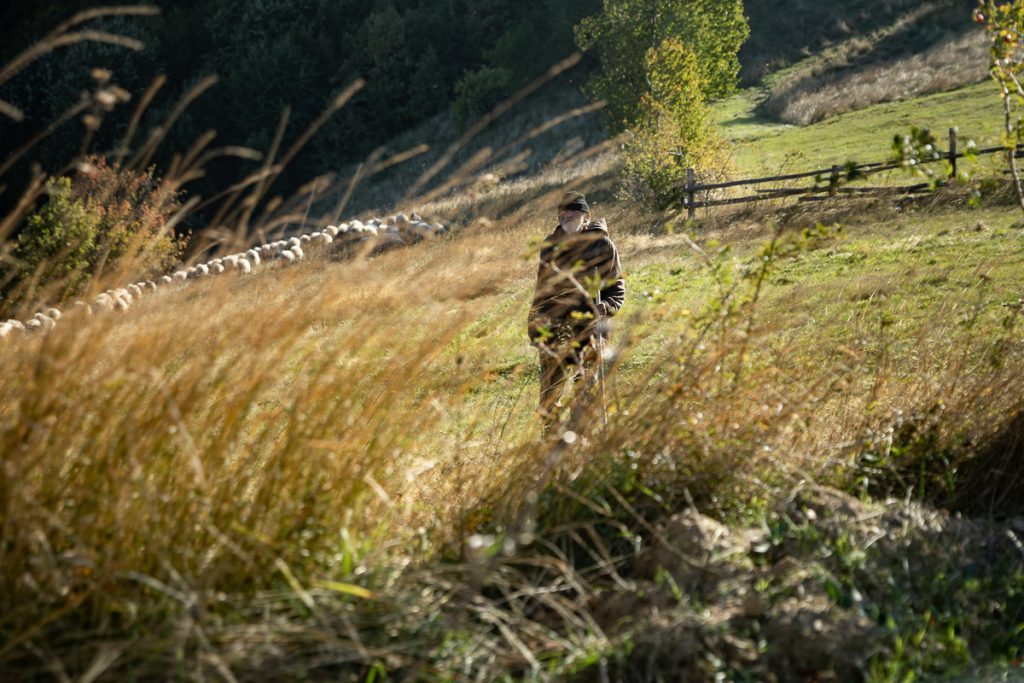 REPORTAJ. „Cât mă bucur că aud și eu română”. Viața ultimilor doi oameni dintr-un sat-fantomă din Semenic. În curțile pemilor plecați în Germania pasc animalele