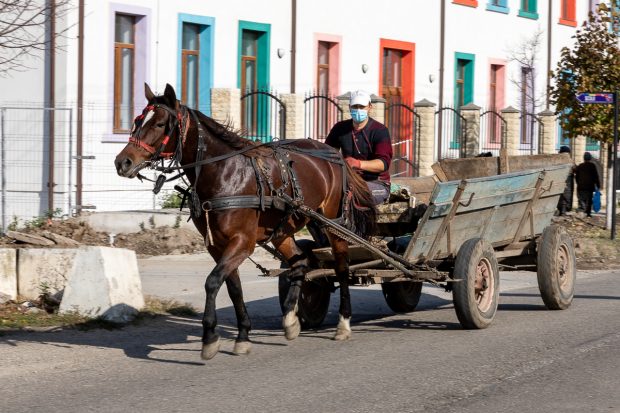 REPORTAJ. Viața, furia și spaimele locuitorilor dintr-o comună fruntaşă la Covid-19. „M-aș fi vaccinat, dar cum să ajung la Giurgiu când eu abia merg?”