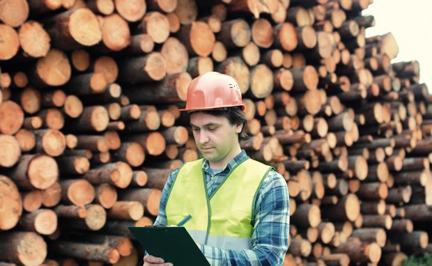 Ce salarii poți să câștigi în industria lemnului: un șef de atelier încasează 4.300 de lei, un inginer de calitate, 5.000 de lei