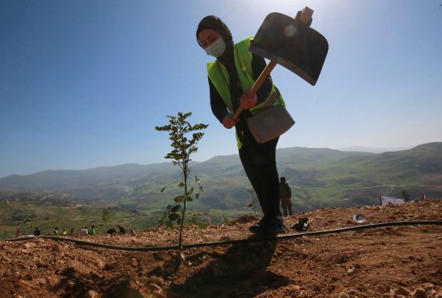Proiectul încurajator prin care o tânără arhitectă a reușit să crească o pădure în capitala Iordaniei, țară aflată în plin deșert