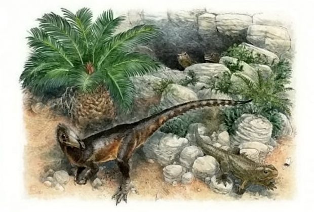 Descoperire uimitoare în Țara Galilor: un dinozaur de mărimea unui pui de găină. Cum l-au numit cercetătorii
