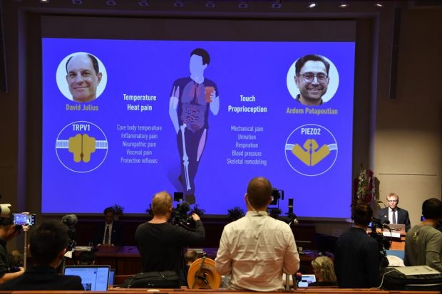 David Julius și Ardem Patapoutian au câștigat Premiul Nobel pentru Medicină 2021. Ce descoperire au făcut