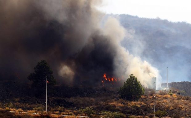 Lava vulcanului Cumbre Vieja distruge culturile de banani. Fermierii, în fața unei situații „cu adevărat catastrofale”