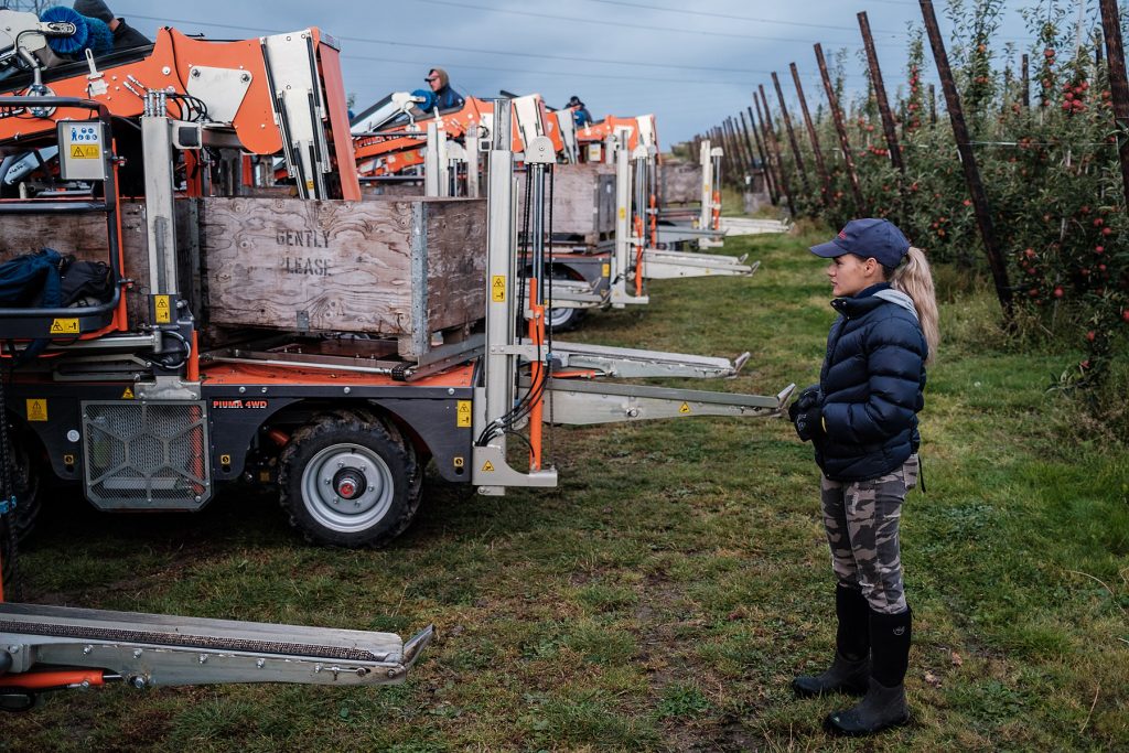 Imagini și povești inedite din interiorul fermelor din UK. Muncitorii români: „Ne lipsește familia și simțim că facem prea multe joburi”