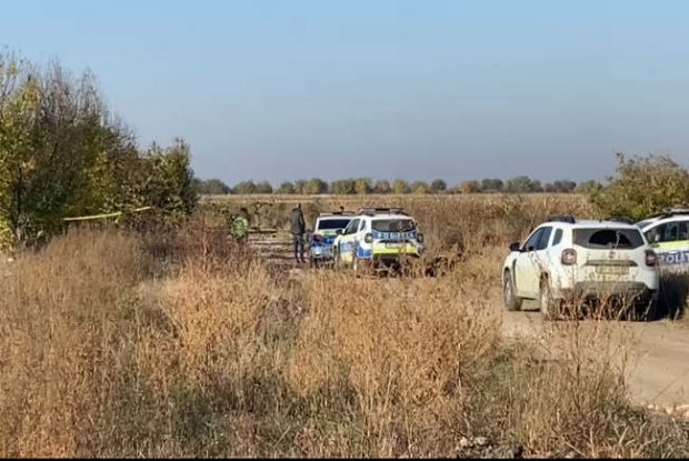 Ce ipoteze au anchetatorii în cazul cadavrului de copil găsit în Arad. A fost reconstituit chipul fetiței