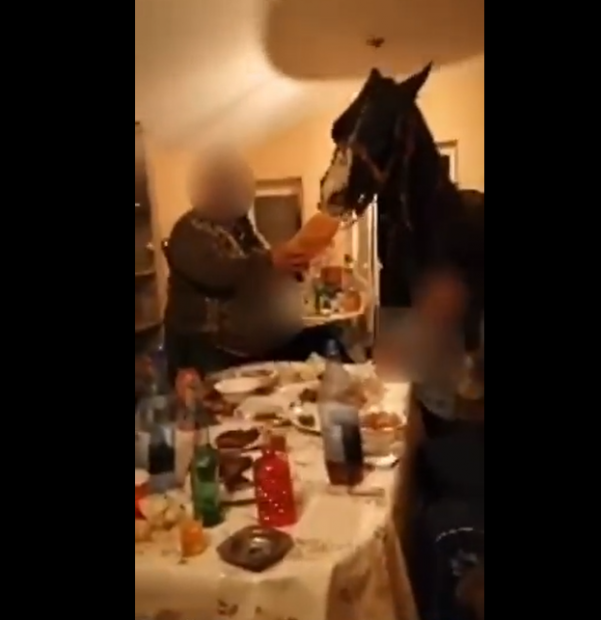 Petrecere cu calul în sufragerie, în Călărași. Decizia polițiștilor, după ce imaginile au devenit virale