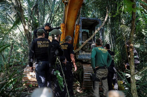 Defrișările din pădurea amazoniană din Brazilia au atins cel mai ridicat nivel din ultimii 15 ani