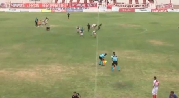 Un antrenor a fost împușcat în timpul unui meci de fotbal din Argentina