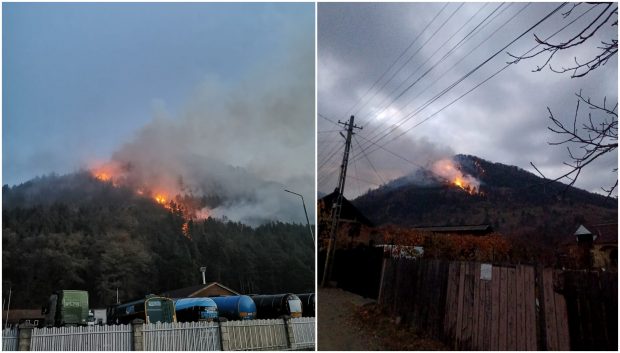 Pompierii din Bacău, misiune dificilă pentru stingerea incendiului de pădure din Oituz. De trei zile se luptă cu flăcările