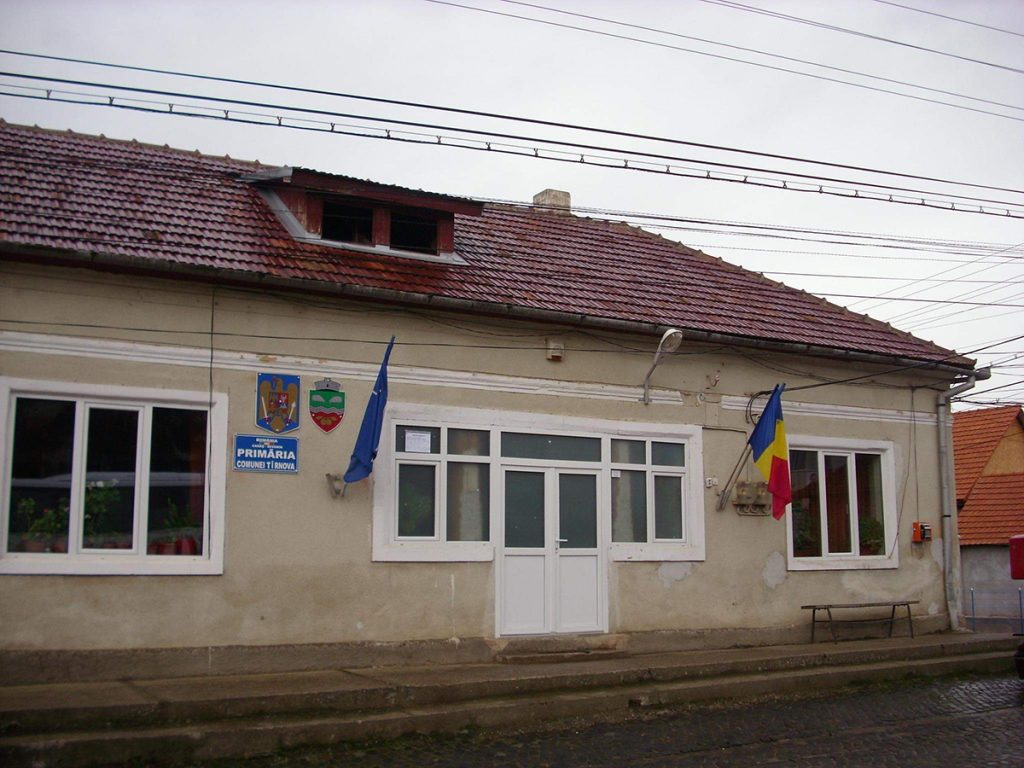 Lupta unei femei cu Ministerul Apărării pentru a recâștiga o bucată de pădure luată pe filiera Primărie-Armată-Guvern