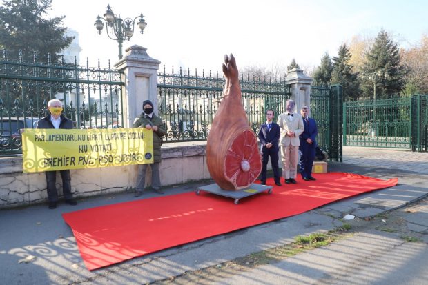 Protest Declic în fața Parlamentului. Organizatorii au adus un ciolan și au purtat măști cu fețele lui Iohannis, Cîțu și Ciolacu
