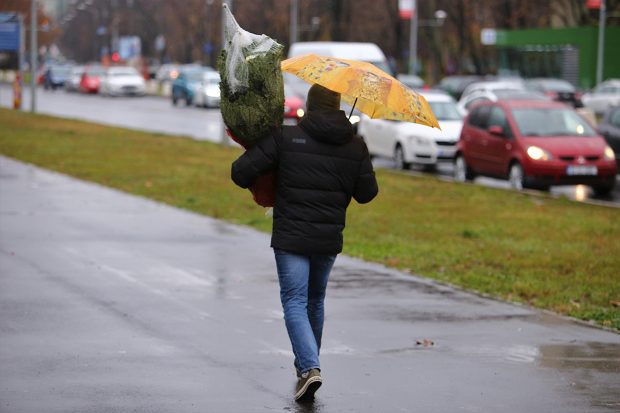 Cod galben de vijelii în București și județul Ilfov. Până la cât e valabilă avertizarea
