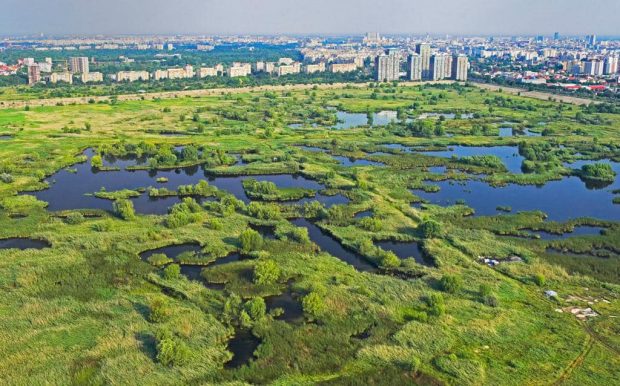 Parcul Văcărești a intrat în administrarea Primăriei Capitalei. Anunțul, făcut de Nicușor Dan