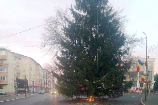 Brad de Crăciun pus de primărie în mijlocul intersecției, într-un oraș din județul Vrancea