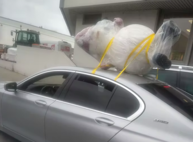 Cu omul de zăpadă pe mașină, în Austria. „Rareori am mai văzut ceva atât de amuzant”