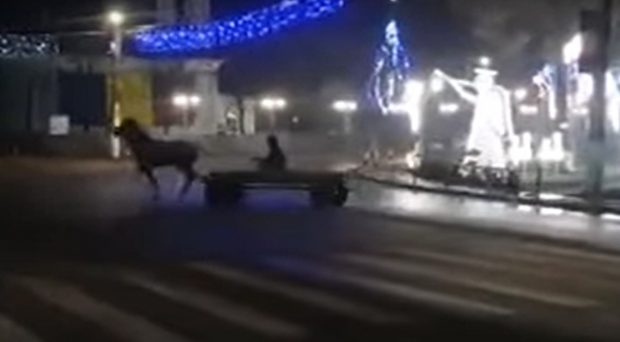 VIDEO | Drifturi cu căruța în mijlocul orașului Ștefănești, în Botoșani. Amendă foarte mare pentru căruțaș