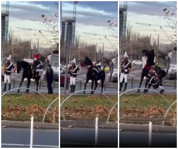 Dosar penal în cazul jandarmului căzut de pe cal la parada de Ziua Națională a României