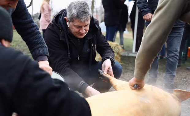 Dan Barna, postare devenită virală la tăierea porcului: N-am refuzat niciodată o invitaţie de a lua parte la tradiţia Ignatului